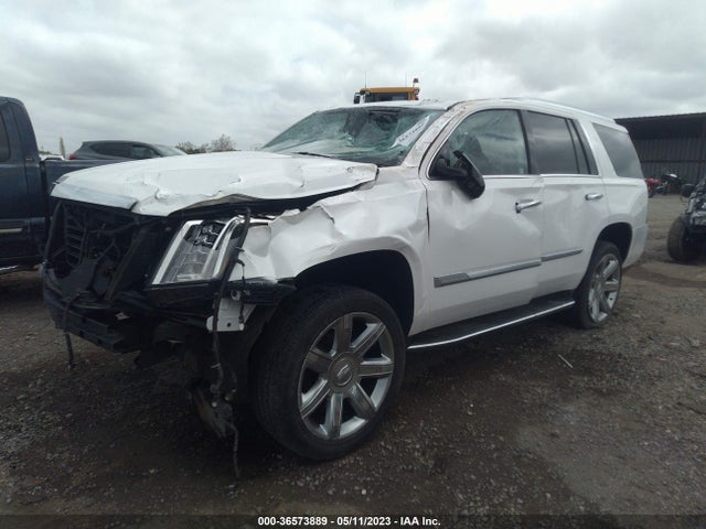 1GYS3BKJ1LR159833 Cadillac Escalade Luxury