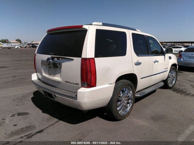 2011 CADILLAC ESCALADE 1GYS4AEF2BR325161 Photo 5