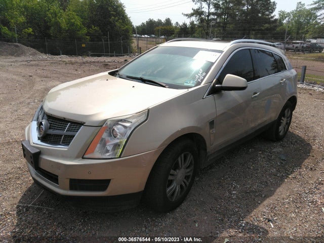 2010 CADILLAC SRX LUXURY COLLECTION VIN: 3GYFNAEY8AS543441