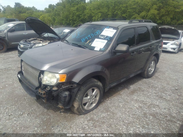 2011 FORD ESCAPE XLT VIN: 1FMCU9D70BKB99308