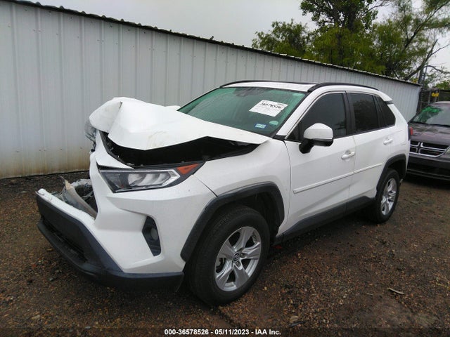 Toyota Rav4 Xle 2019 2T3W1RFV3KW035158 Image 2