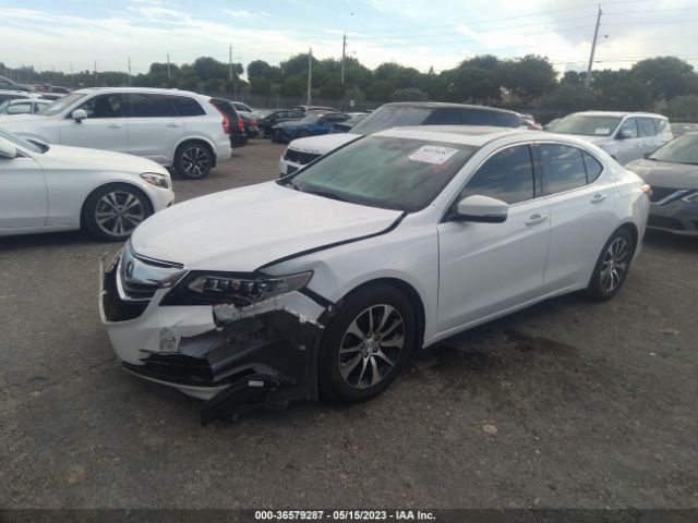 19UUB1F5XFA019261 Acura TLX TECH