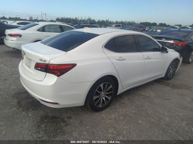 19UUB1F5XFA019261 Acura TLX TECH