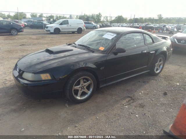 2003 FORD MUSTANG GT VIN: 1FAFP42X63F441047