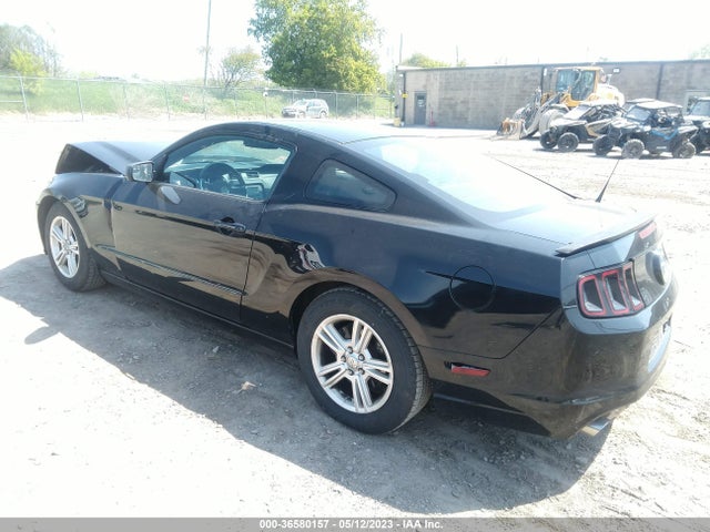 2014 FORD MUSTANG V6 VIN: 1ZVBP8AMXE5318221