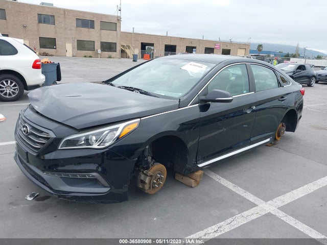 Hyundai Sonata Sport 2017 5NPE34AF3HH509392 Image 2