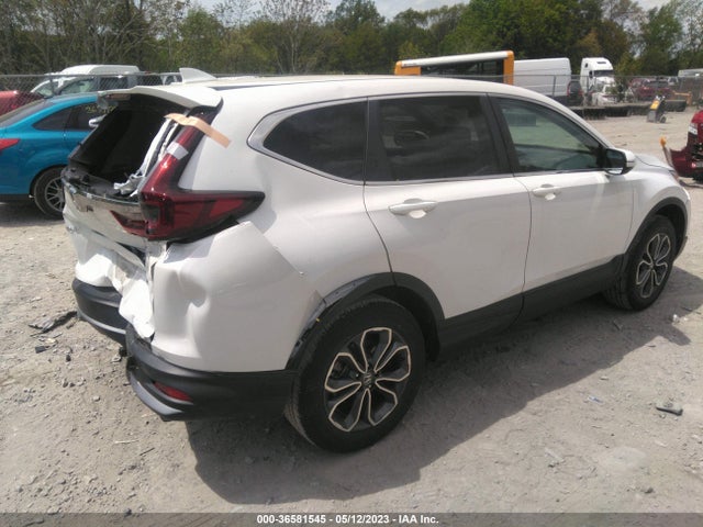 Honda Cr-v Ex-l 2020 2HKRW2H81LH601808 Image 4