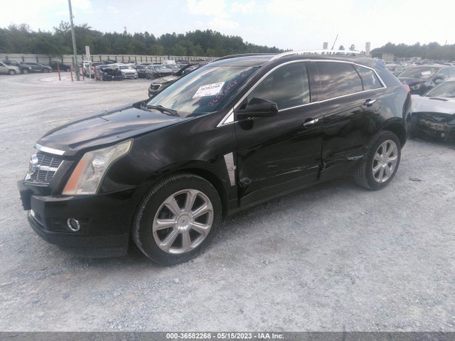 2011 CADILLAC SRX PREMIUM COLLECTION VIN: 3GYFNCEY6BS538655
