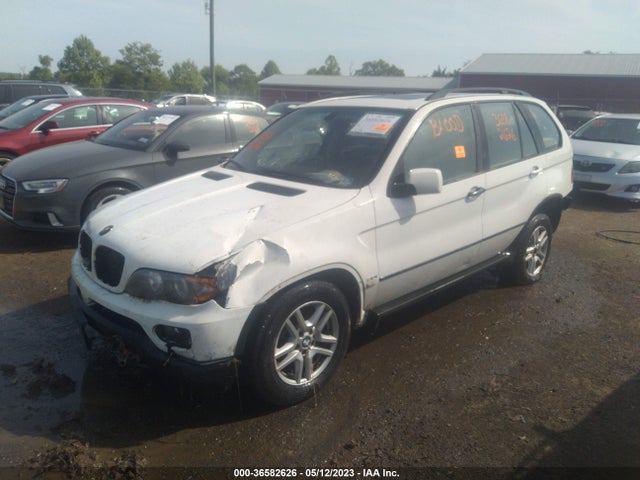 2005 BMW X5 3.0I VIN: 5UXFA13515LY08091