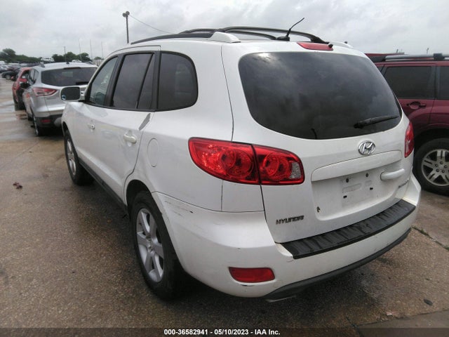 2009 HYUNDAI SANTA FE SE VIN: 5NMSH13E69H311170