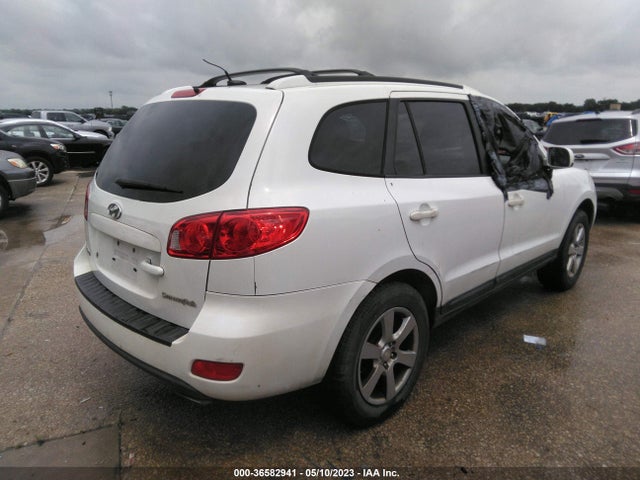 2009 HYUNDAI SANTA FE SE VIN: 5NMSH13E69H311170