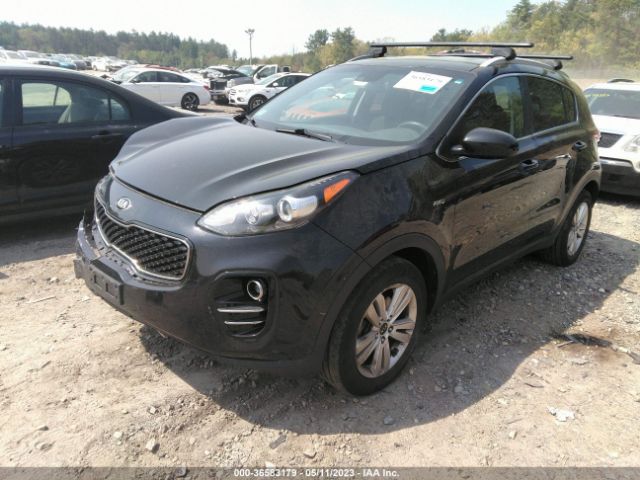 KNDPMCAC4H7160916 KIA Sportage Lx