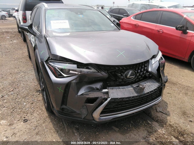 2020 Lexus UX, VIN: JTHP3JBH1L2024099