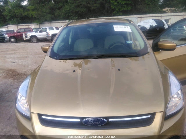 Ford ESCAPE SE 2015 1FMCU0G77FUB74097 Image 7