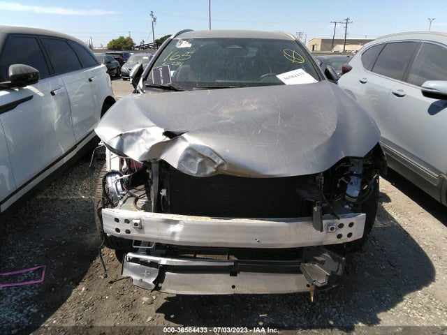 2023 Lexus NX, VIN: 2T2ADCAZ1PC003329