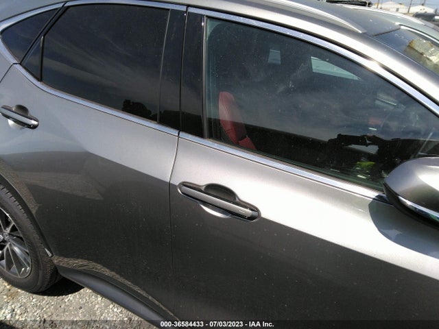 2023 Lexus NX, VIN: 2T2ADCAZ1PC003329