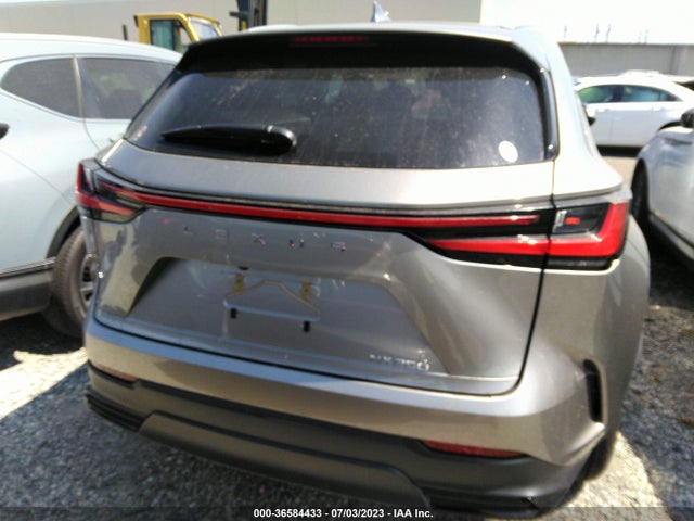 2023 Lexus NX, VIN: 2T2ADCAZ1PC003329
