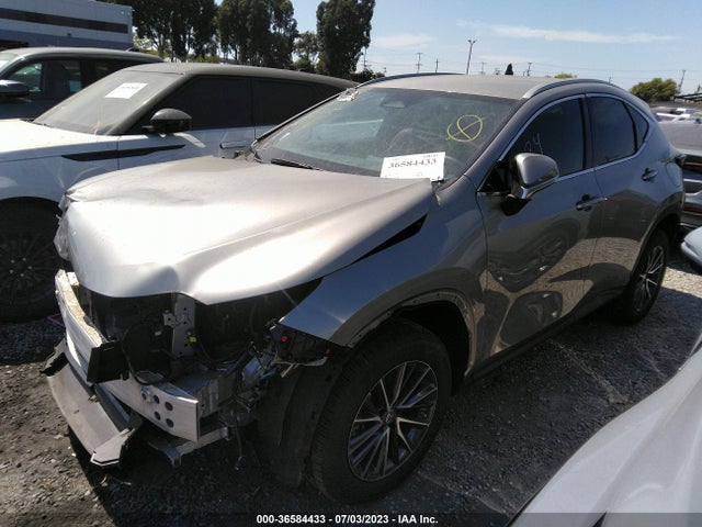2023 Lexus NX, VIN: 2T2ADCAZ1PC003329