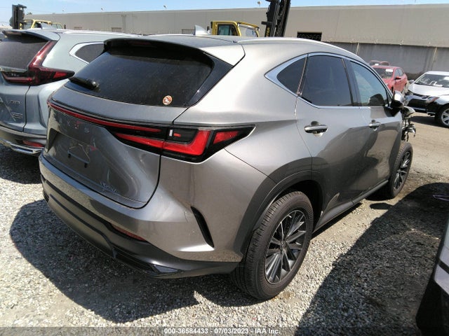 2023 Lexus NX, VIN: 2T2ADCAZ1PC003329