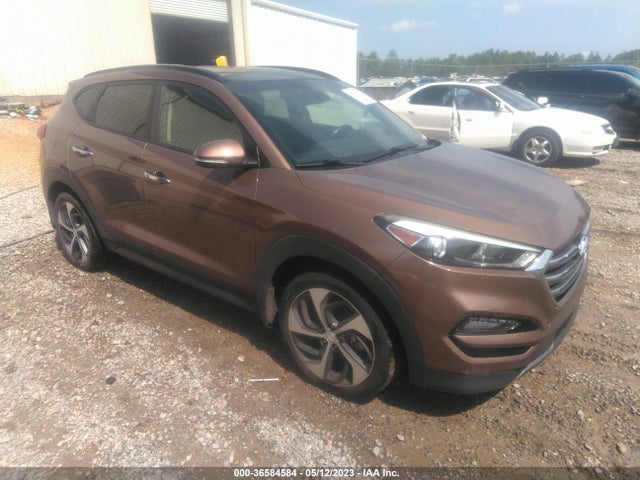 Hyundai Tucson Limited 2016 KM8J33A25GU104429 main image