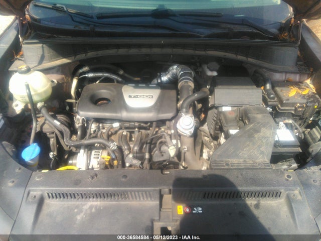 Hyundai Tucson Limited 2016 KM8J33A25GU104429 Image 11