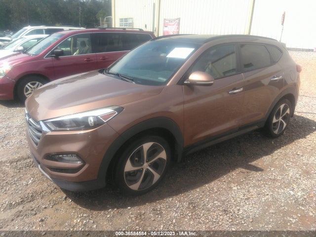 Hyundai Tucson Limited 2016 KM8J33A25GU104429 Image 2