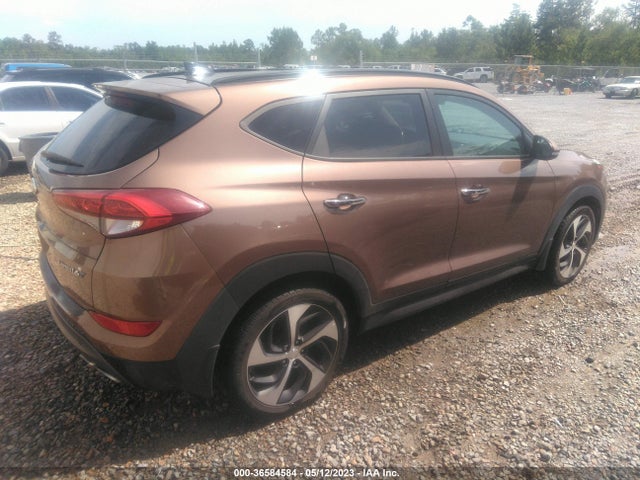 Hyundai Tucson Limited 2016 KM8J33A25GU104429 Image 5