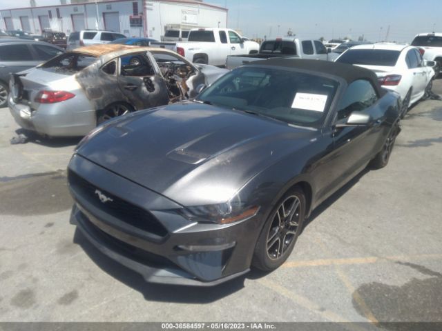 1FATP8UHXK5151429 Ford Mustang Ecoboost