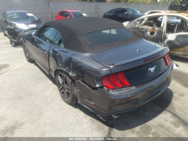 1FATP8UHXK5151429 Ford Mustang Ecoboost