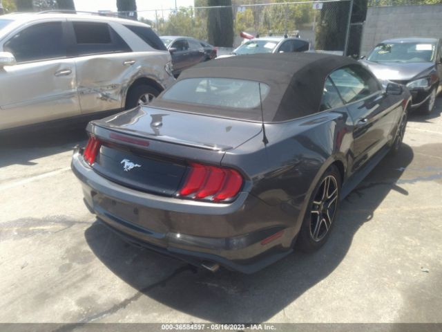 1FATP8UHXK5151429 Ford Mustang Ecoboost