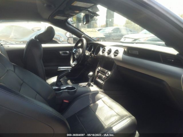 1FATP8UHXK5151429 Ford Mustang Ecoboost