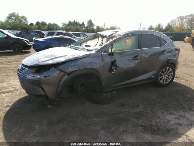 JTJDJRDZ4M2151216 Lexus Nx Nx 300h