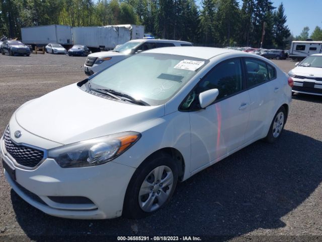 KNAFK4A66G5619677 KIA FORTE LX