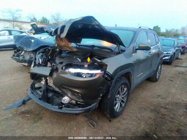 Jeep Cherokee Latitude Plus 2019 1C4PJMLB5KD211223 Image 2