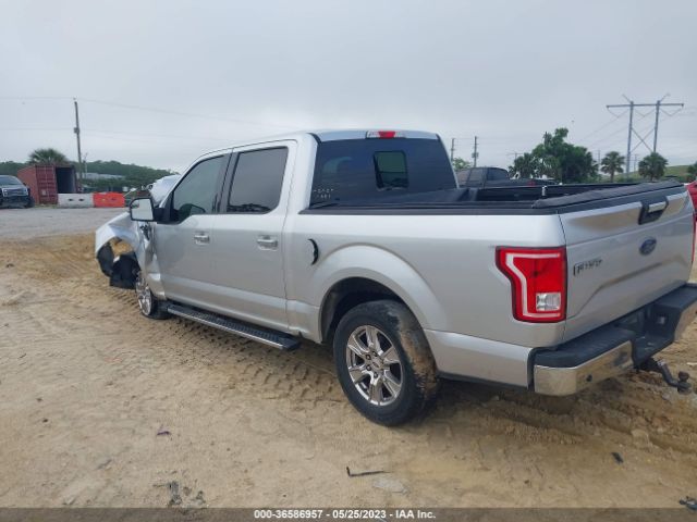 1FTEW1C88HFA89319 Ford F-150 Xl/xlt