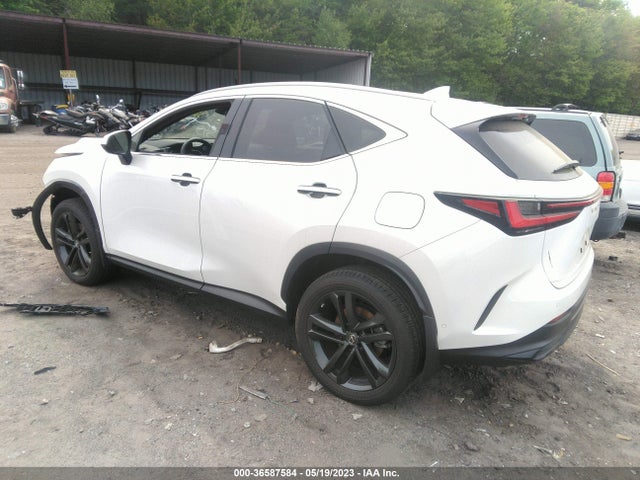 2022 Lexus NX, VIN: JTJHKCFZ7N2008867