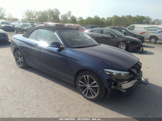 2019 BMW 2 Series, VIN: WBA2K1C5XKVD42111