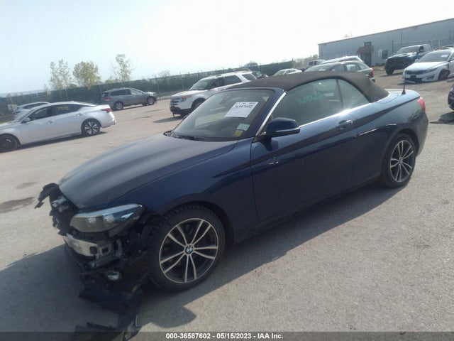2019 BMW 2 Series, VIN: WBA2K1C5XKVD42111