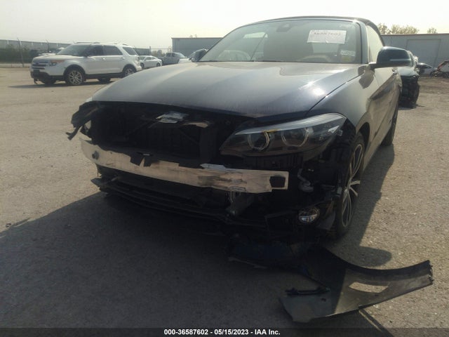 2019 BMW 2 Series, VIN: WBA2K1C5XKVD42111