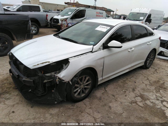 Hyundai SONATA SE 2019 5NPE24AF3KH744479 Image 2