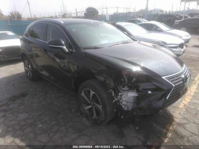 2020 Lexus NX, VIN: JTJGJRDZ7L2145017