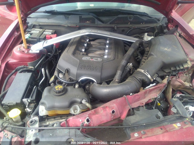Ford MUSTANG GT 2014 1ZVBP8CF1E5255315 Image 12