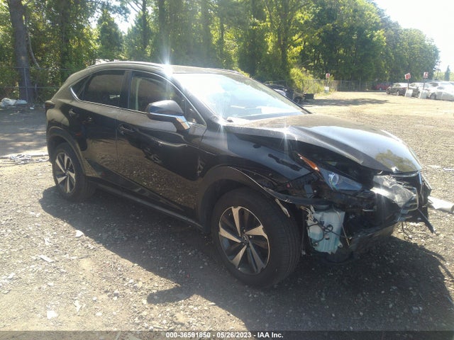 2019 Lexus NX, VIN: JTJBARBZ6K2214369