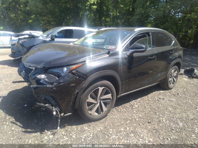 2019 Lexus NX, VIN: JTJBARBZ6K2214369