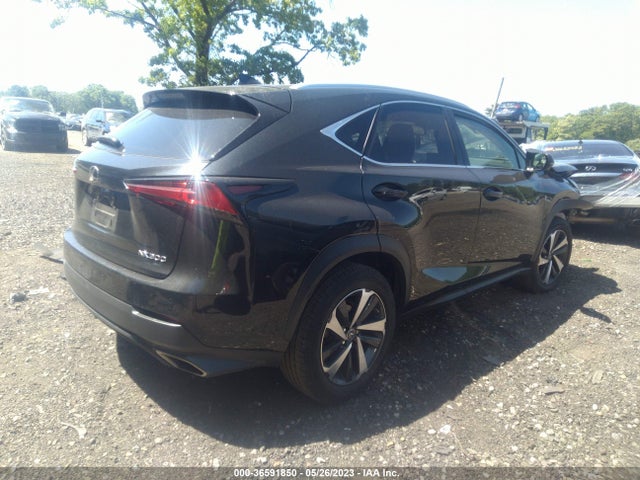 2019 Lexus NX, VIN: JTJBARBZ6K2214369