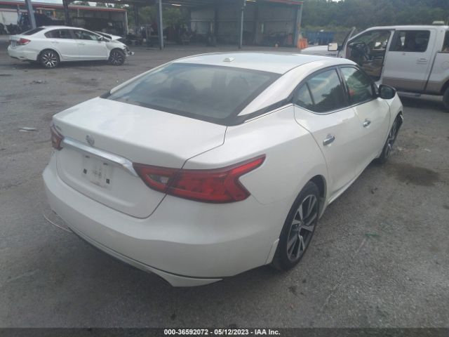 1N4AA6AP3GC398027 Nissan Maxima 3.5 S