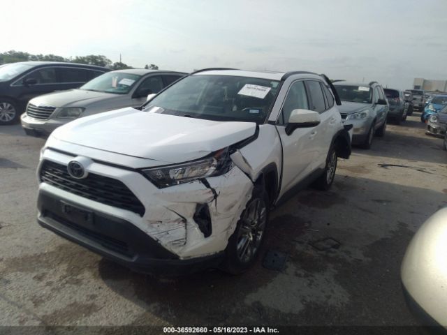 2T3C1RFV5KW034855 Toyota Rav4 Xle Premium