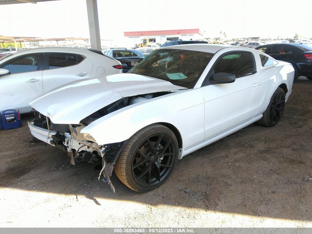 Ford Mustang V6 2014 1ZVBP8AM1E5288767 Image 2