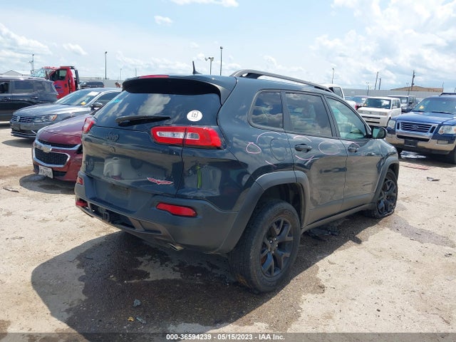 2016 JEEP CHEROKEE TRAILHAWK VIN: 1C4PJMBS8GW183494