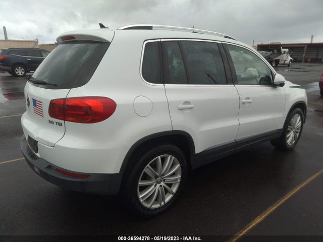 WVGAV3AX4EW581117 Volkswagen Tiguan Sel
